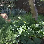 Silva Apartman Kornic