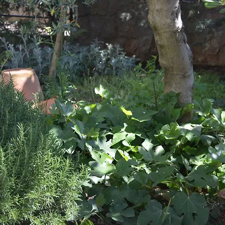 Silva Apartmán Kornić