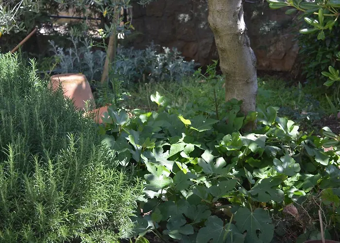 Silva Apartament Kornić